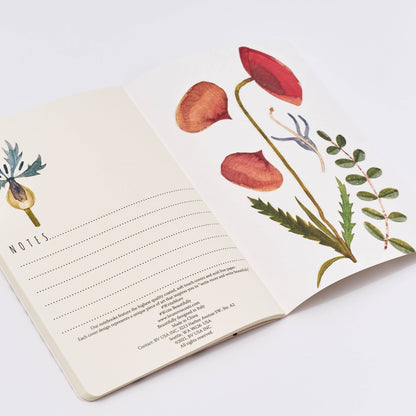 Flora-New  Notebook Collection